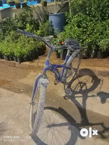 Cycle for mens olx on sale