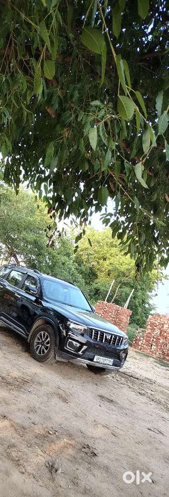 2025 Scorpio N Z4 Diesel | 1st Owner | Showroom Condition