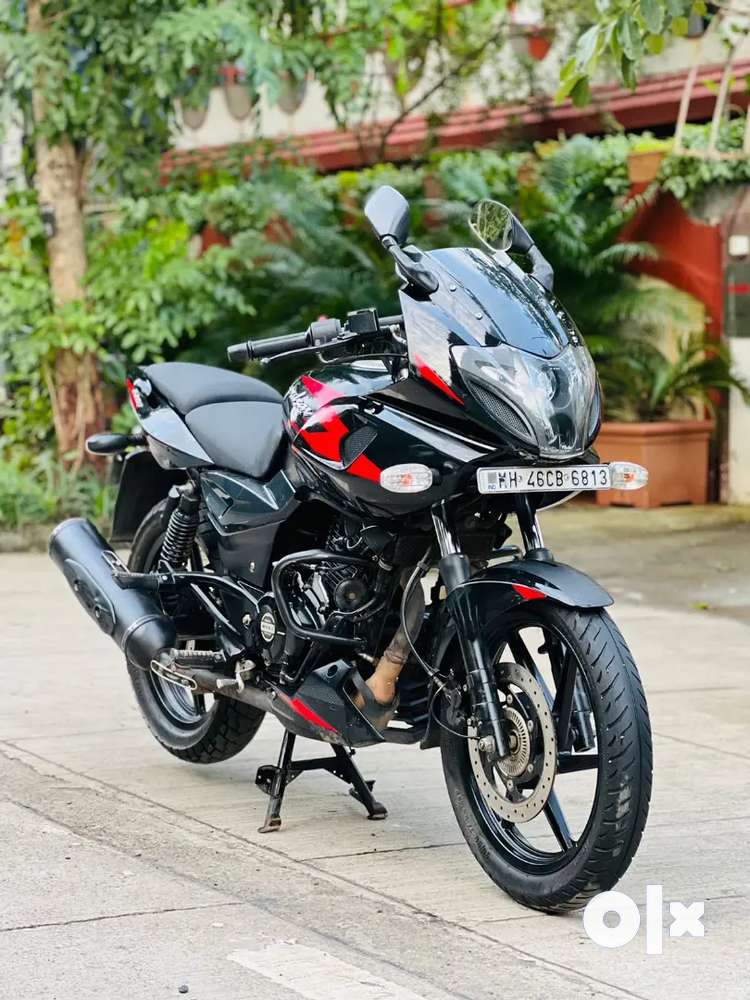 Olx cheap pulsar 220