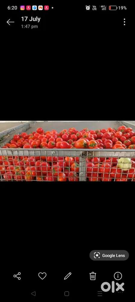 Vegetable rack