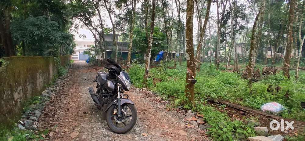 13 cent land for sale at pallikkara near infopark vempilli