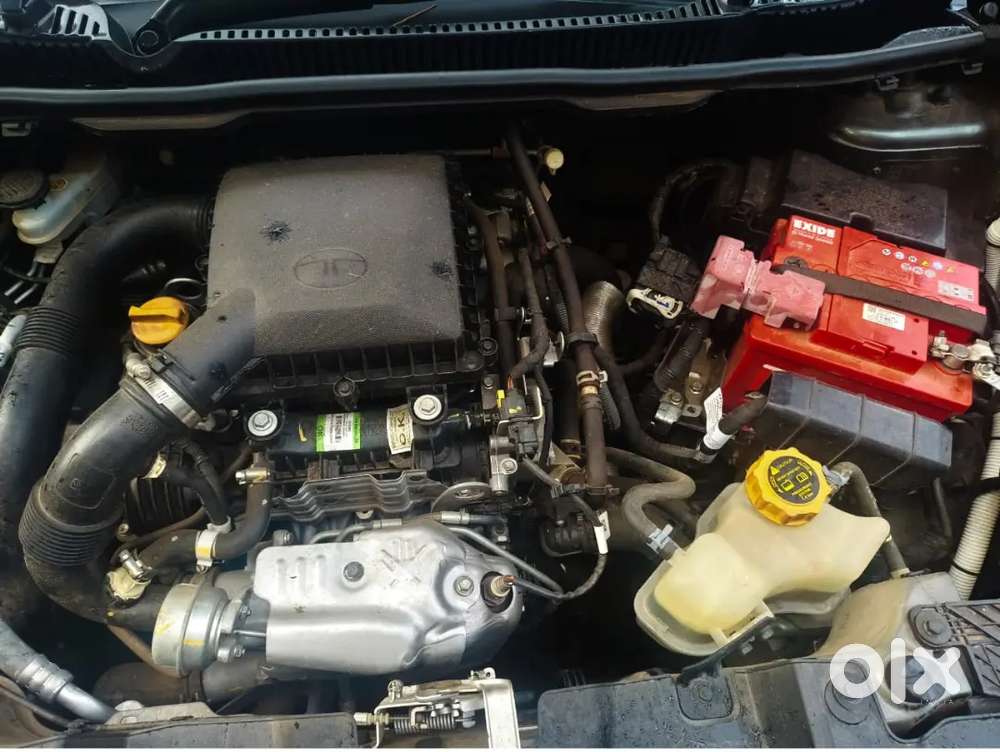 Tata Nexon Creative Petrol 2025