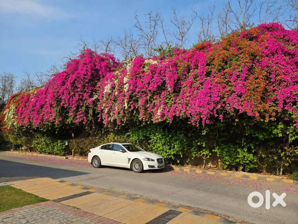 Jaguar Xf Diesel Automatic  2014  70k Km  Excellent Condition  Bs4