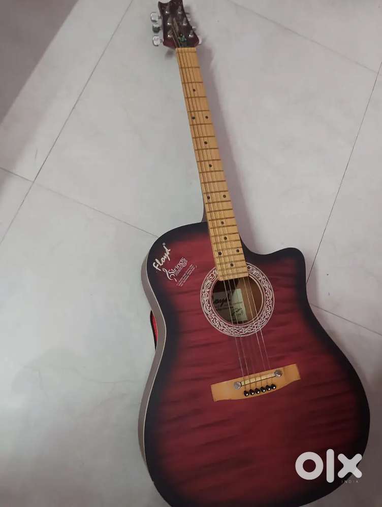 Floyd Guitar