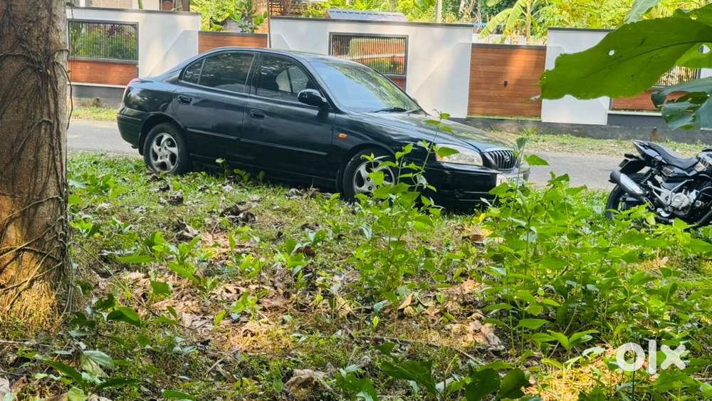 Hyundai Elantra Full Option