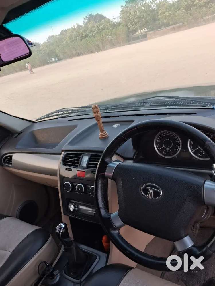 Safari Storme