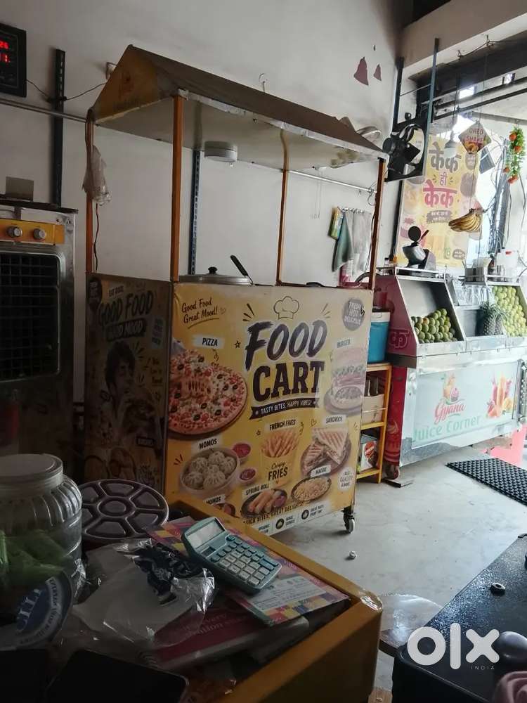 New china food cart with oil fryer