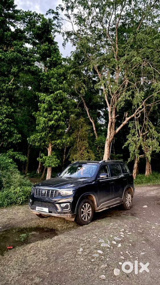 Mahindra Scorpio-n Petrol 2024. Premium Condition Scorpio N