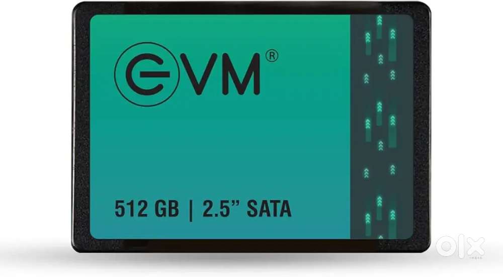 Evm 512 GB  Sata Ssd