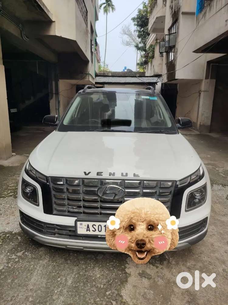 Hyundai Venue November 2024 Petrol Well Maintained
