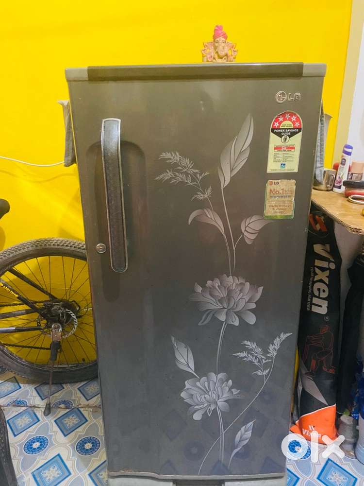 LG original fridge
