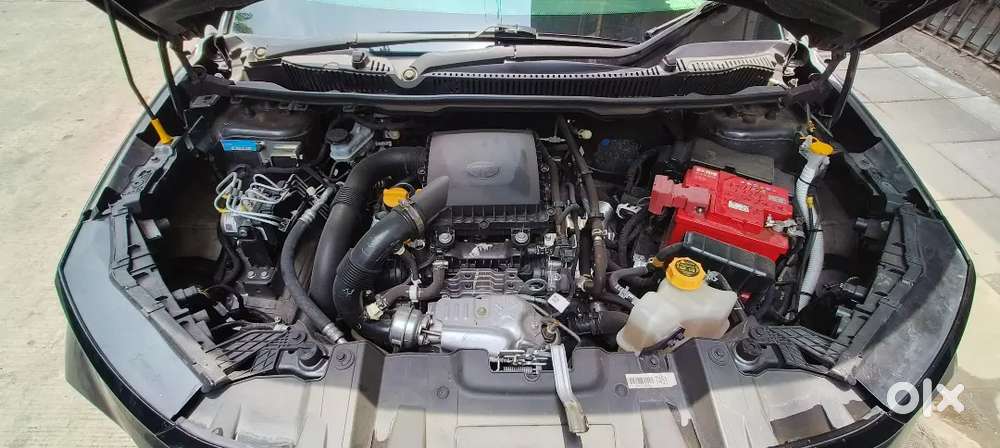 Tata Nexon 2025 Petrol Well Maintained
