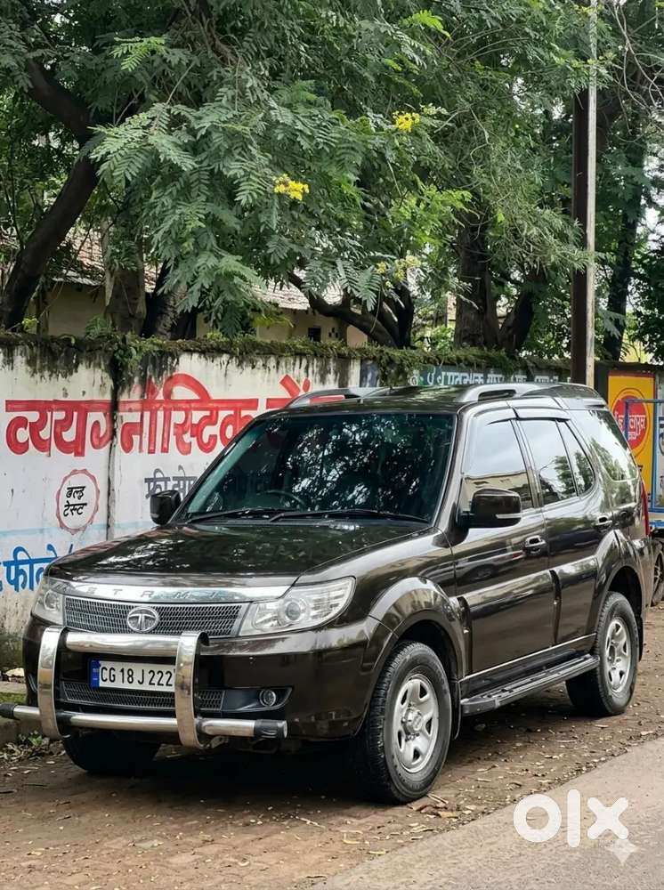 Safari Storme