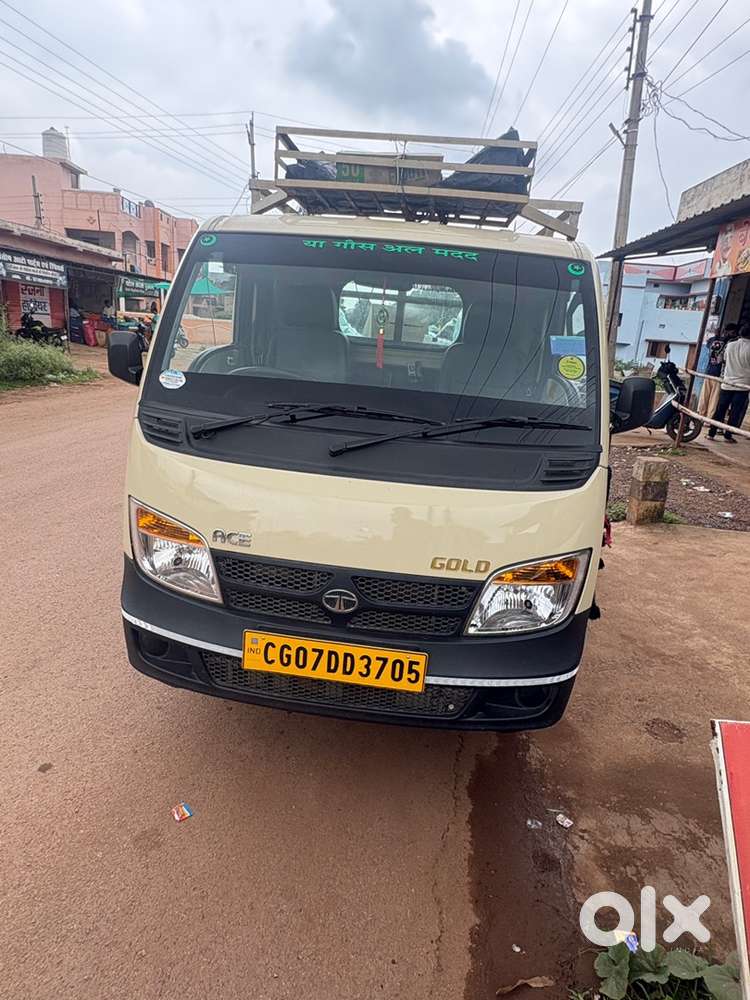 Tata ace gold petrol