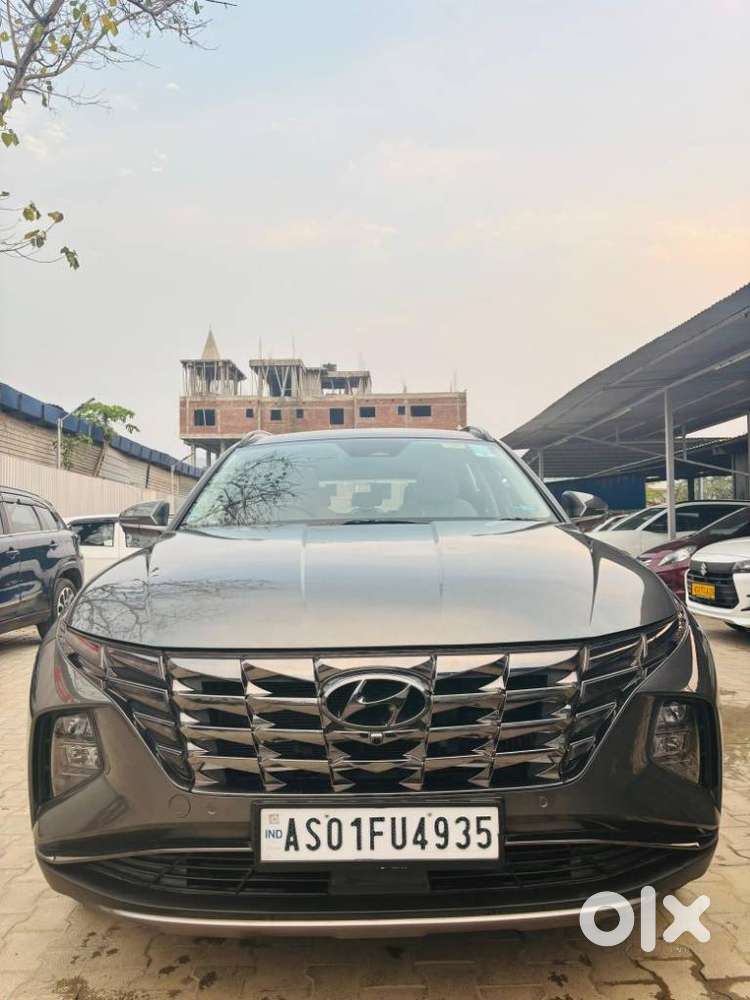 Hyundai Tucson 2.0 Signature 4wd Diesel At Dual Tone, 2024, Diesel