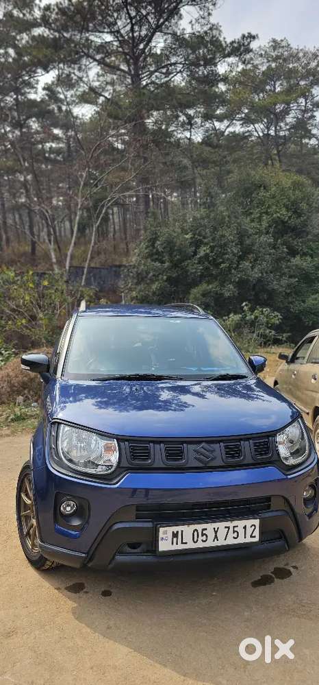 Maruti Suzuki Ignis 2022 Petrol 58000 Km Driven
