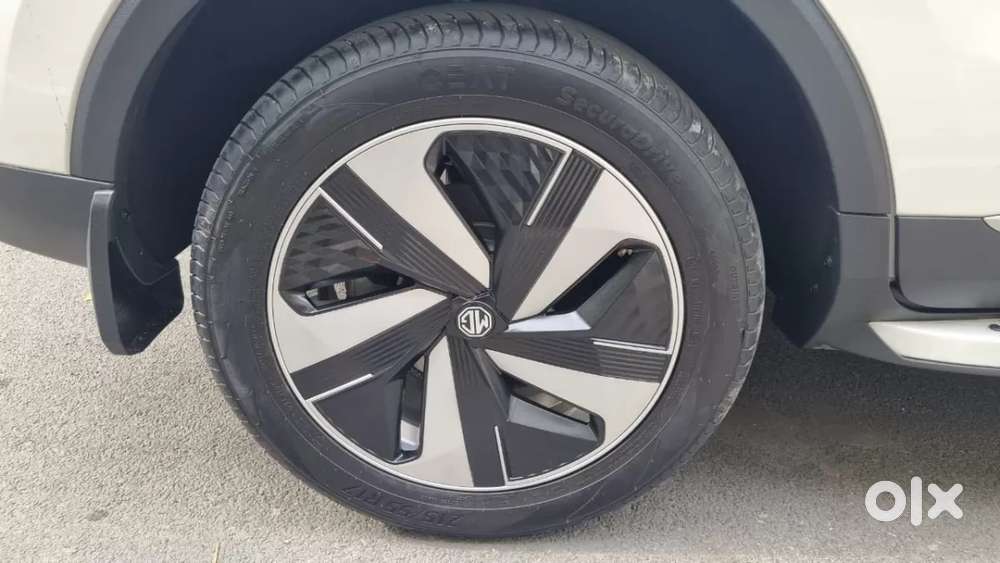 Mg Zs Ev, 2024, Electric