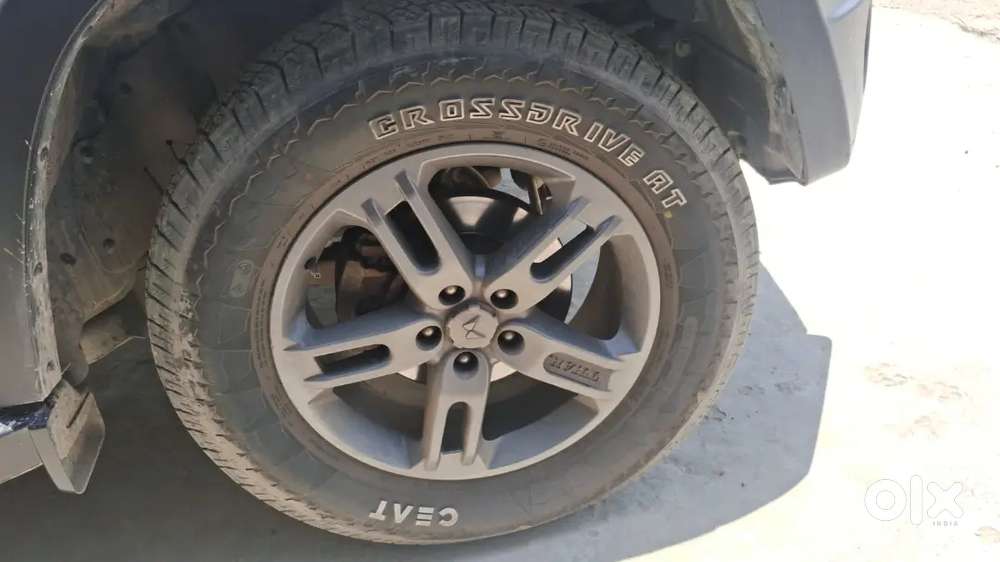 Brand New Condition