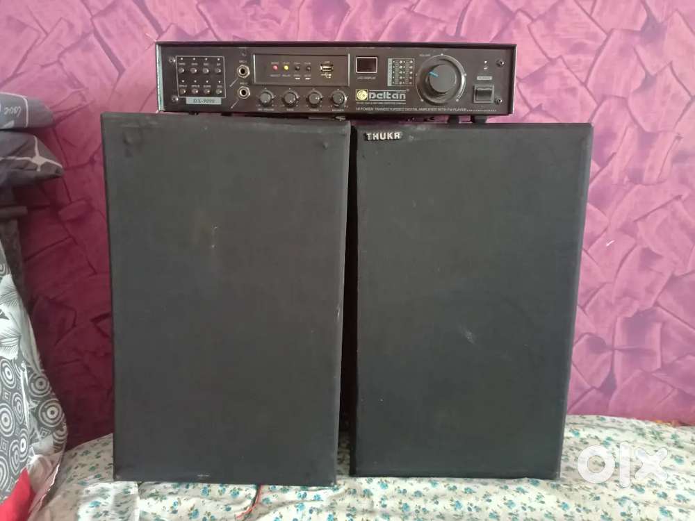 Thukral speakers with Deltan amplifier