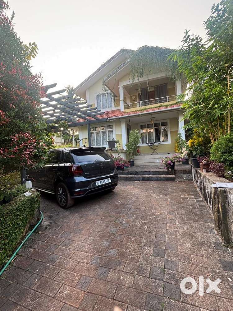 Volkswagen Polo 2020 Petrol Well Maintained