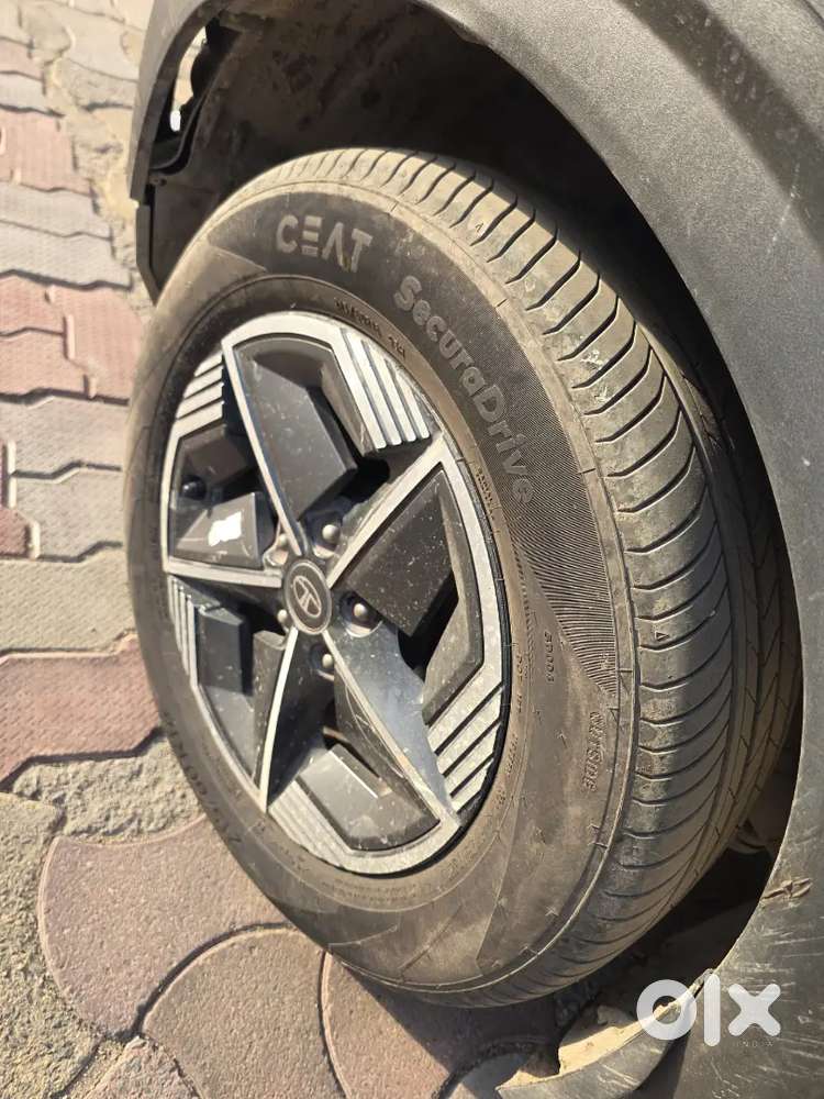 Jh09bf0588 New Nexon Diesel Mt Fir Sell At Bokaro Jharkhand