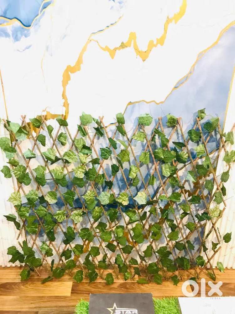 All Vertical garden deal in 5500/-