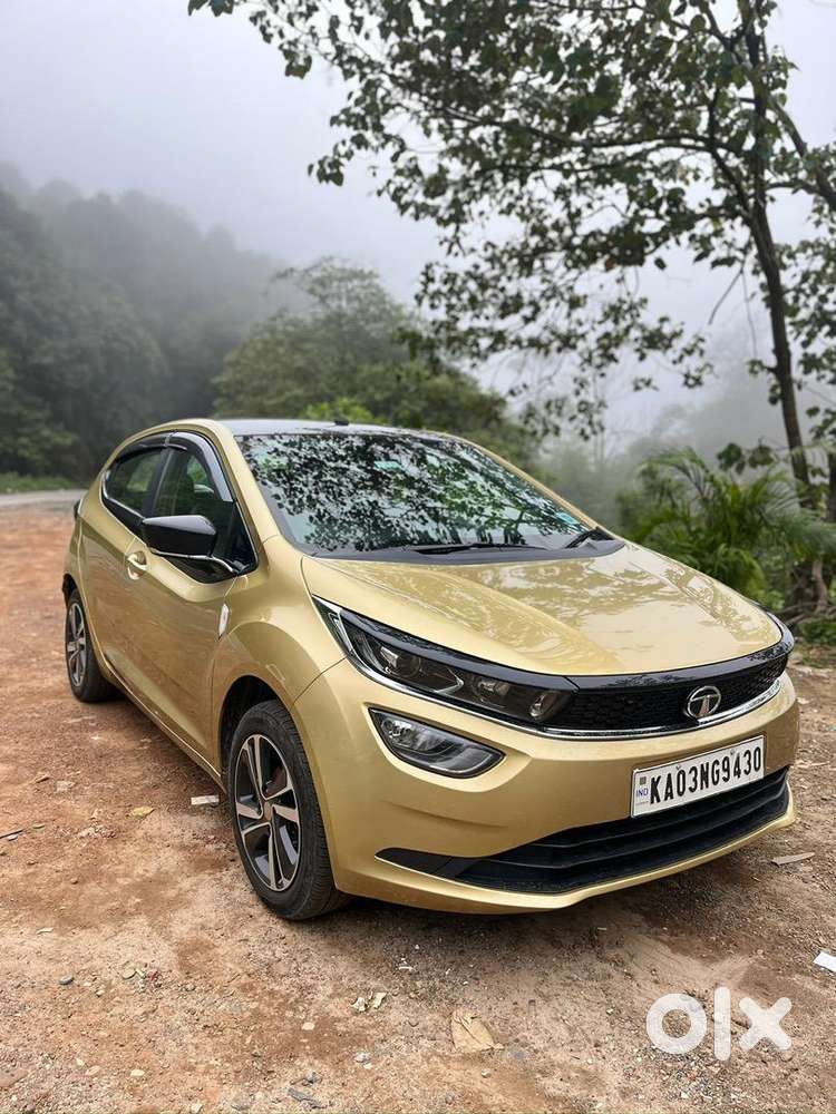 Tata Petrol Car 2020