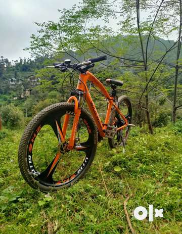 Wild wolf jaguar clearance ktm version