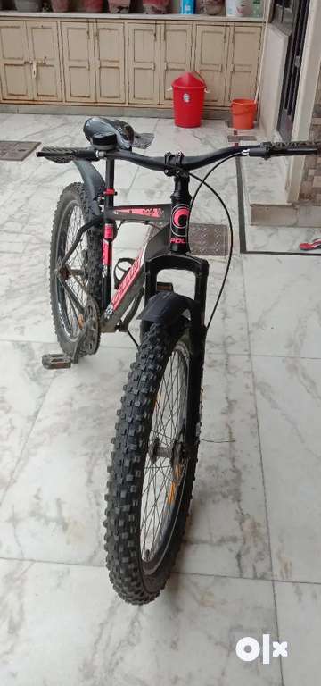 Polo gallus cycle hotsell