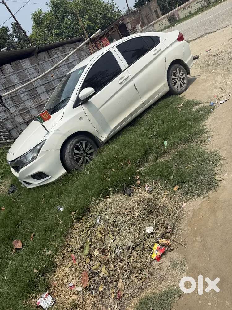 Scorpio Lena Hai