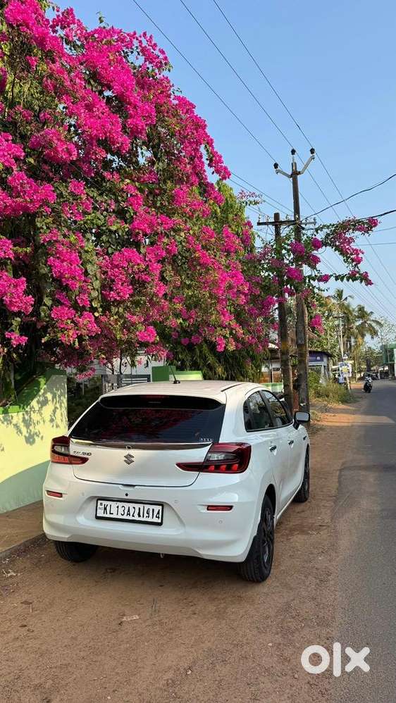 Maruti Suzuki Petrol Manual 2024