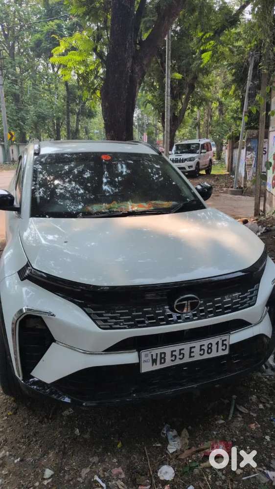 Tata Curvv 2025 Petrol Well Maintained