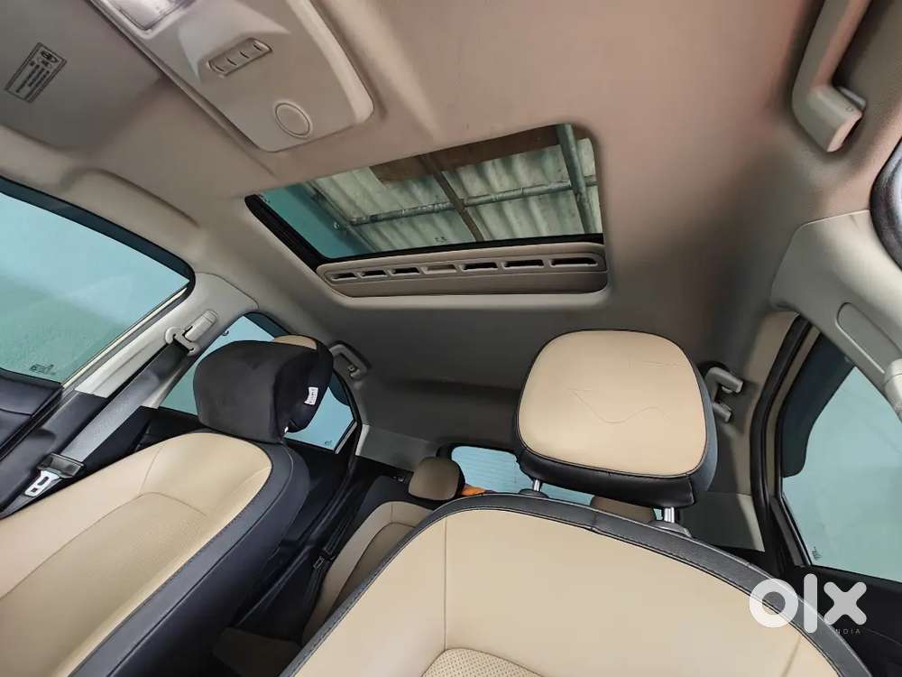 Tata Nexon Kaziranga Edition Top Model Petrol Automatic