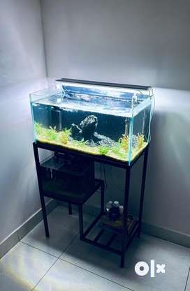Aquarium Pets for sale in Bangarapet OLX