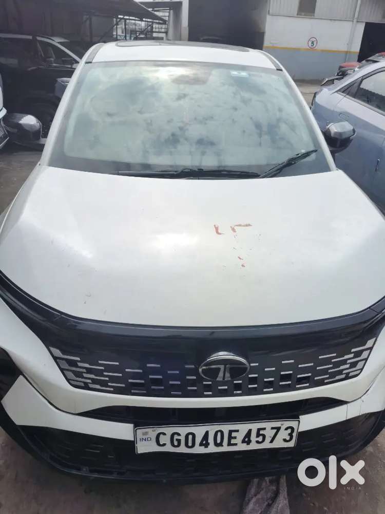 Tata Curvv Plus Petrol 6mt 2025