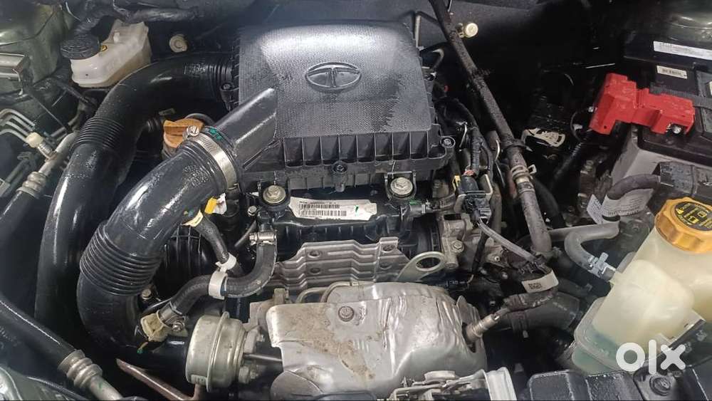 2023 Nexon-single Owner, Low Usage, Excellent Conditionnt