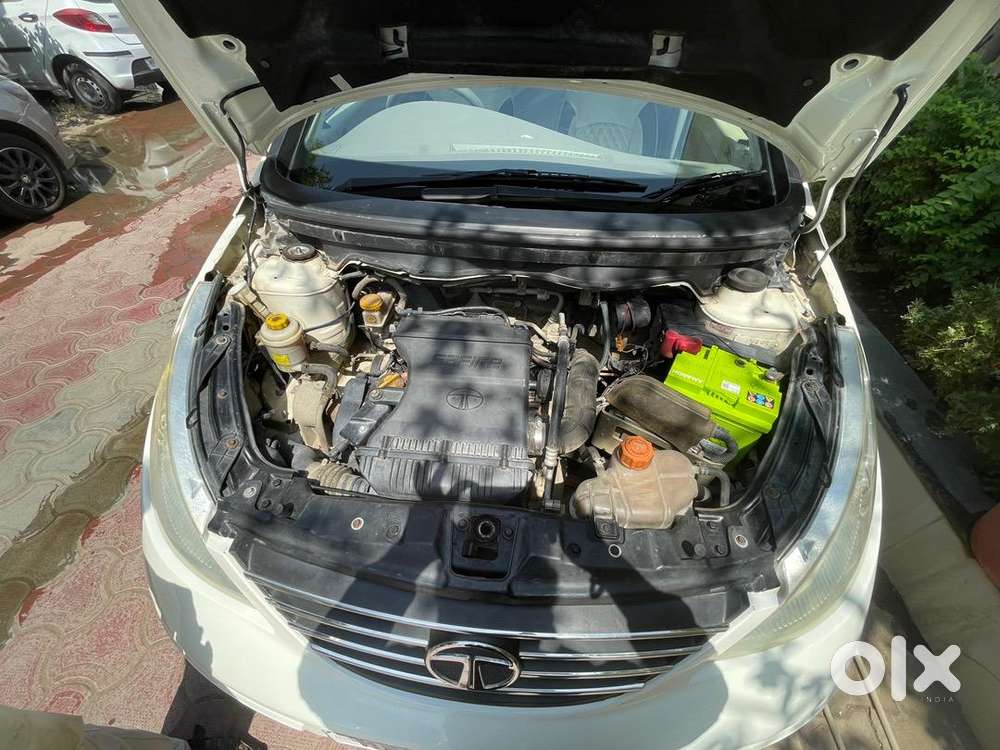 Tata Petrol Car 2010