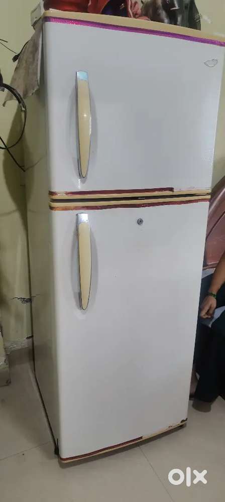 Frize double door 2022 model