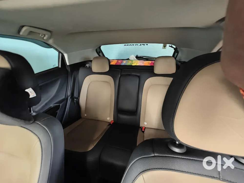 Tata Nexon Kaziranga Edition Top Model Petrol Automatic