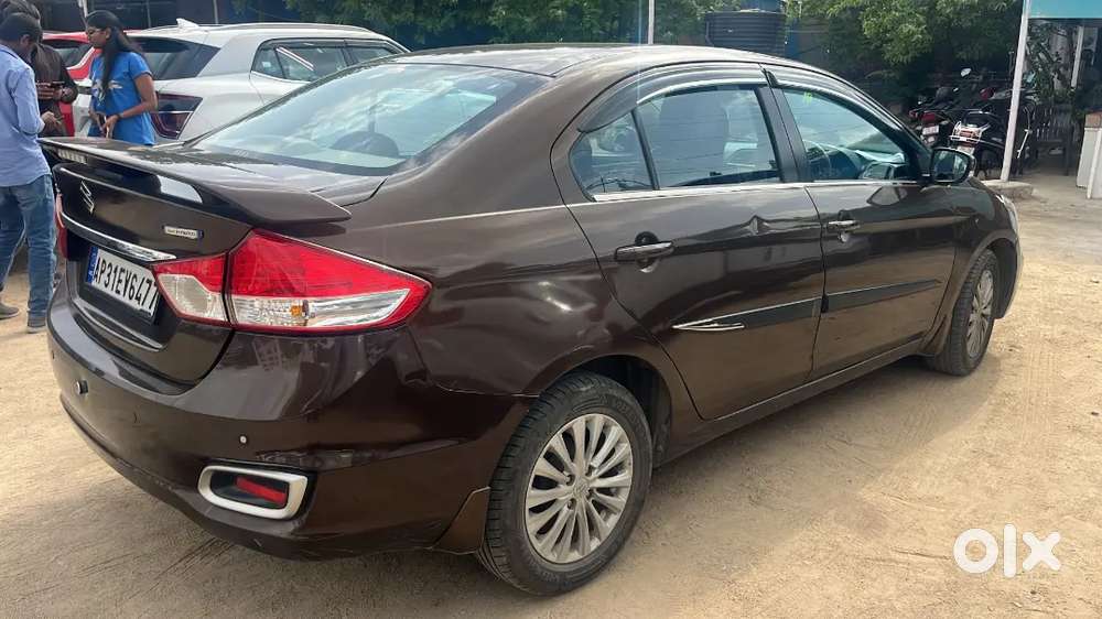 Ciaz Delta - Dignity Brown (upgraded Version) 2019