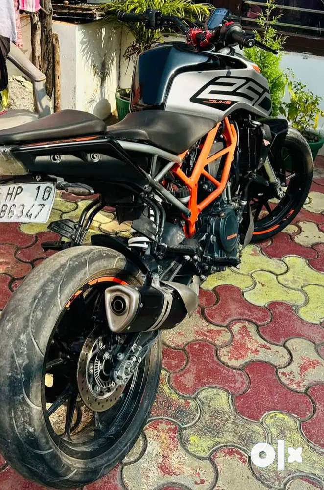 Duke 250 second hand olx new arrivals