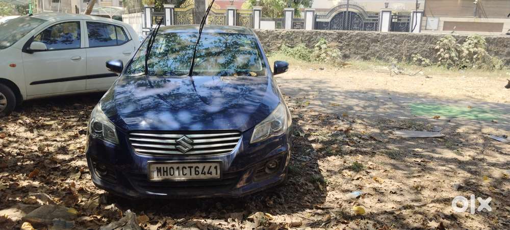 Maruti Ciaz Alpha