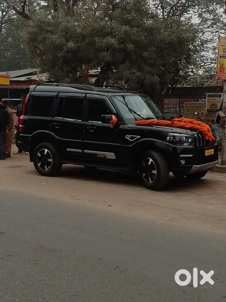 Scorpio S11 Classic For Sale