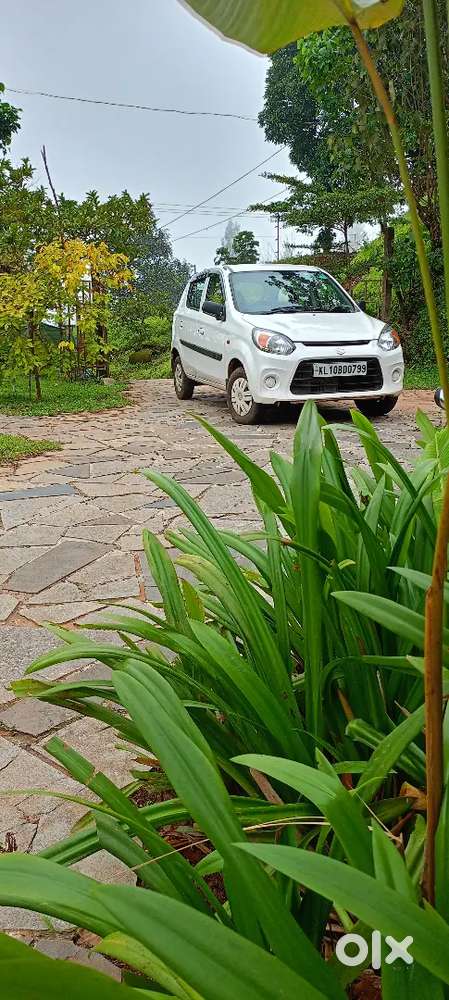Maruti Suzuki Alto 800 2019