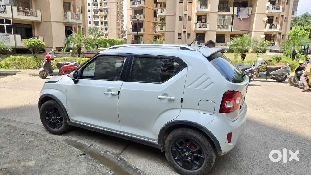 Maruti Suzuki Ignis 2024 Petrol Amt