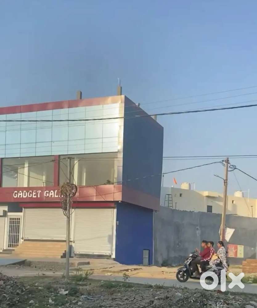 1bigha land for sale