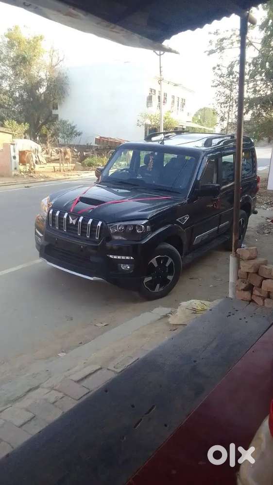 Mahindra Be 6 2024 Petrol 20000 Km Driven