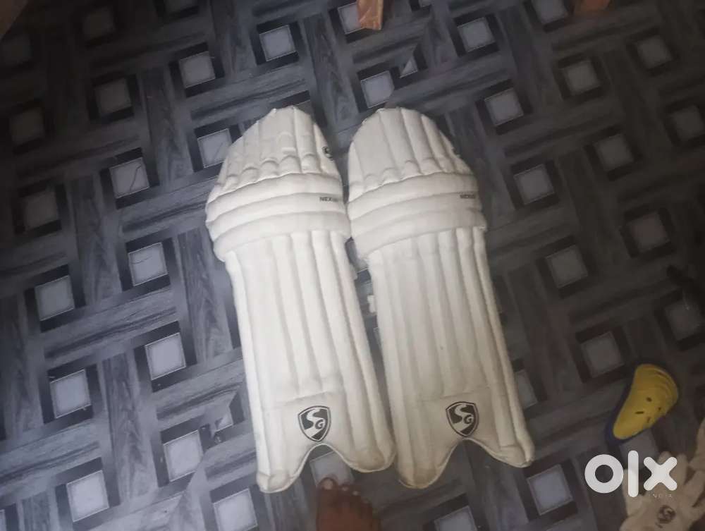 Cricket kit