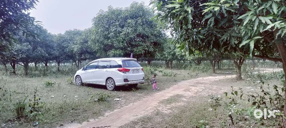 Honda Mobilio 2015 Petrol 43000 Km Driven
