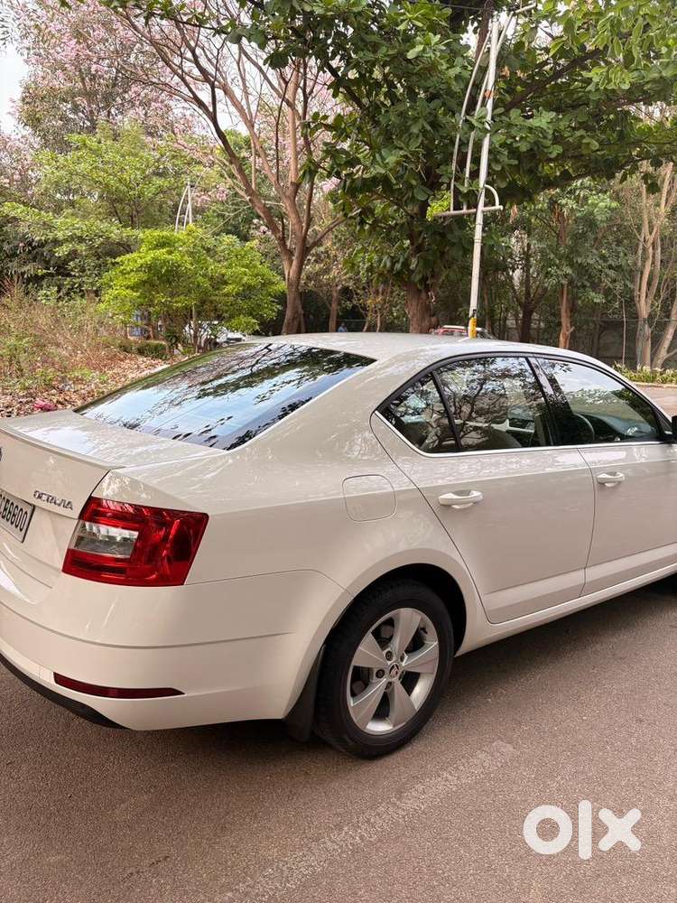 Skoda Octavia 2019 Petrol 38600 Km Driven